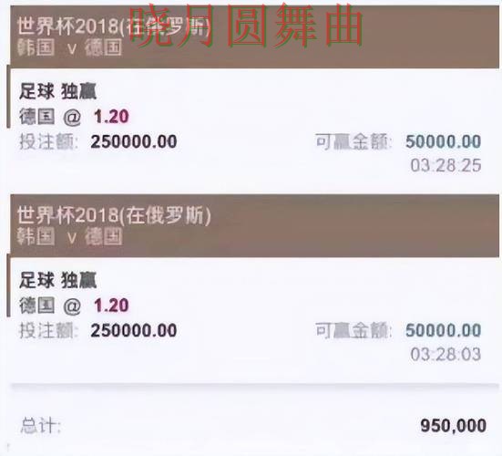 世界杯买球平台官网入口怎么看更清楚