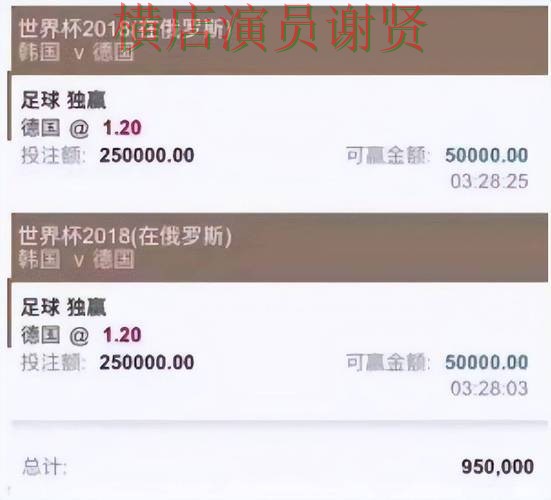 世界杯买球平台推荐合集：覆盖真实体验与入口方式 - 世界杯全球总决赛